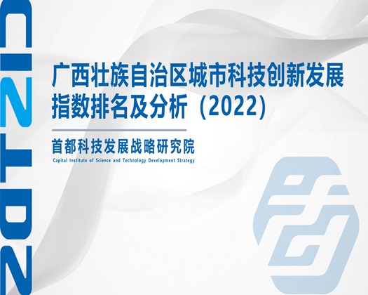 艹女生逼逼逼网站【成果发布】广西壮族自治区城市科技创新发展指数排名及分析（2022）